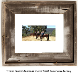 horse trail rides near me in Budd Lake, New Jersey